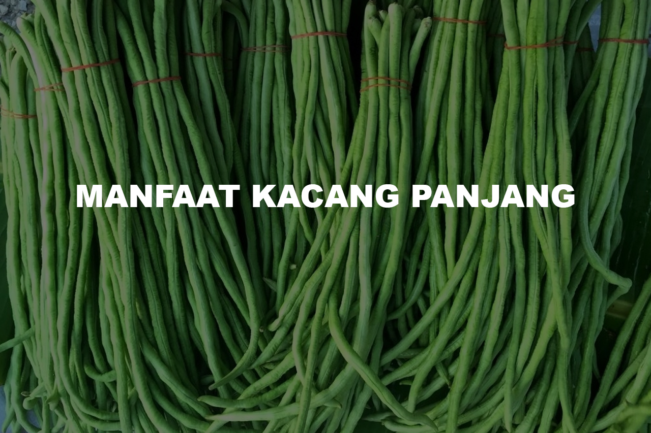 Ketahui Manfaat Kacang Panjang Terhadap Ukuran Payudara dan Kadar Glukosa