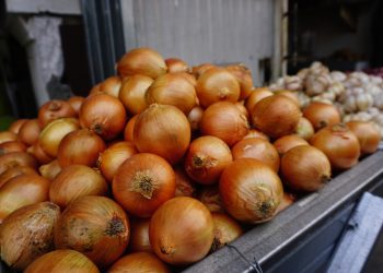 Manfaat Mengonsumsi Bawang Bombay Bagi Kesehatan