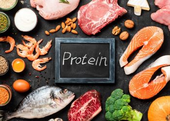 Ragam Makanan Lezat Dengan Sumber Protein Tinggi